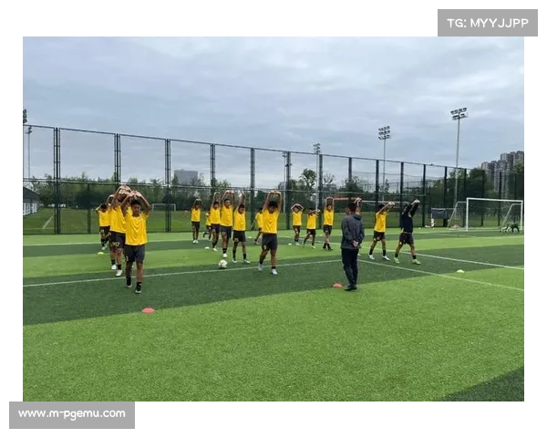 足球纪录片斩获大奖展现绿茵之美艺术价值获权威认可