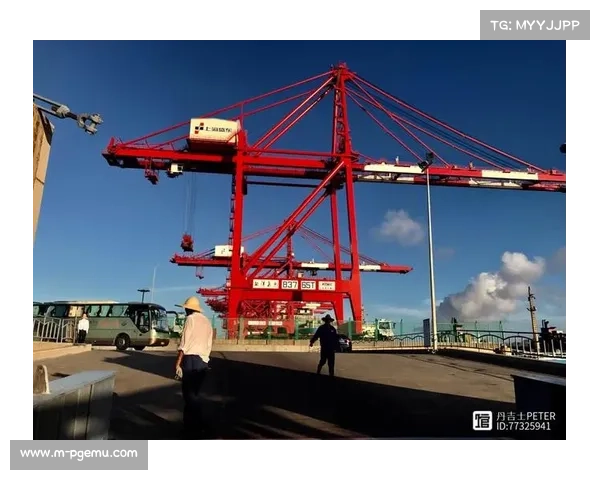 马来西亚足协预计就归化案向CAS上诉,法律费用高达30.2万美元 马来西亚足协预计就归化案向CAS上诉,法律费用高达30.2万美元